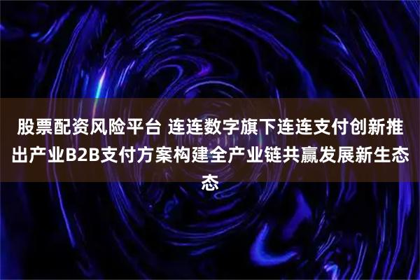 股票配资风险平台 连连数字旗下连连支付创新推出产业B2B支付方案构建全产业链共赢发展新生态