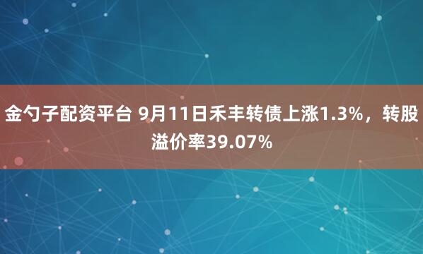 金勺子配资平台 9月11日禾丰转债上涨1.3%，转股溢价率39.07%