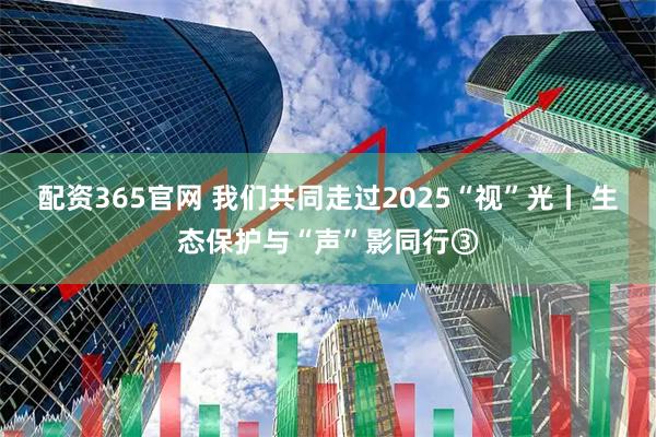配资365官网 我们共同走过2025“视”光丨 生态保护与“声”影同行③